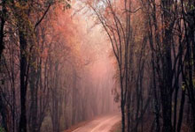 3-0,23岁国际米兰悍将发威:助世界第65迎世预赛首胜+升至第2.