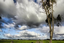 3-0,23岁国际米兰悍将发威:助世界第65迎世预赛首胜+升至第2.