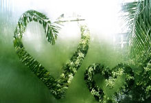 10天后成美国首位“重罪犯”总统 特朗普:必上诉,上筹款链接.