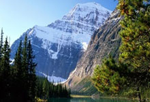 7-14!比国足还惨,8轮0胜积5分沦为垫底,亚洲冠军下轮不胜=出局.