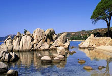 10天后成美国首位“重罪犯”总统 特朗普:必上诉,上筹款链接.